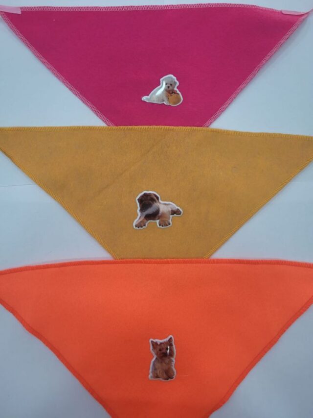 B102 BANDANA FELTRO - 10 UN - Image 4