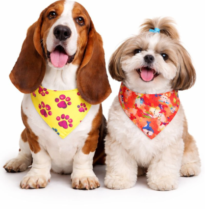 B113 BANDANA DECORATIVA  - 10 UN