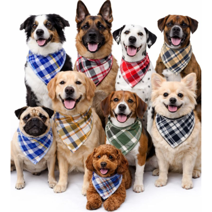 B365 BANDANA XADREZ 'M' 'G' - 10 UN