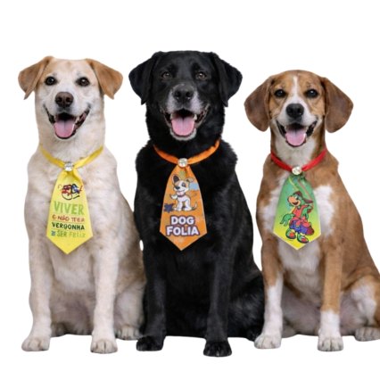 G736 SOCIAL SINTÉTICA CARNAVAL - 20 UN