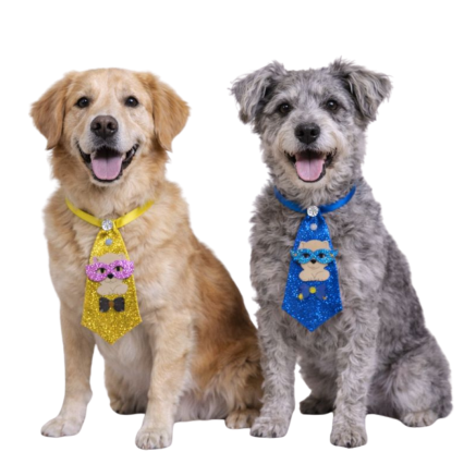 G737 SOCIAL E.V.A FOLIA - 20 UN