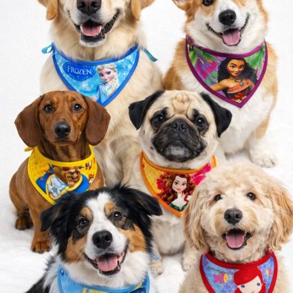 B403 BANDANA PRINCESAS - 10 UN