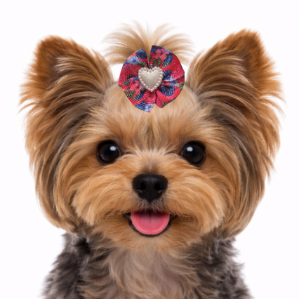 L1044 LAÇO FLASH GORG FLORAL LOVE - 30 UN