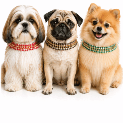 L1765 PASSA FITA XADREZ - 20 UN