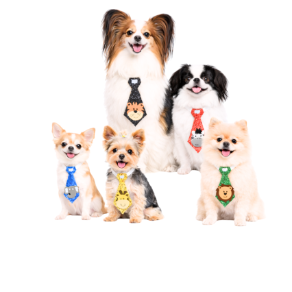 G0758 GRAVATA EM E.V.A SAFARI - 20 UN