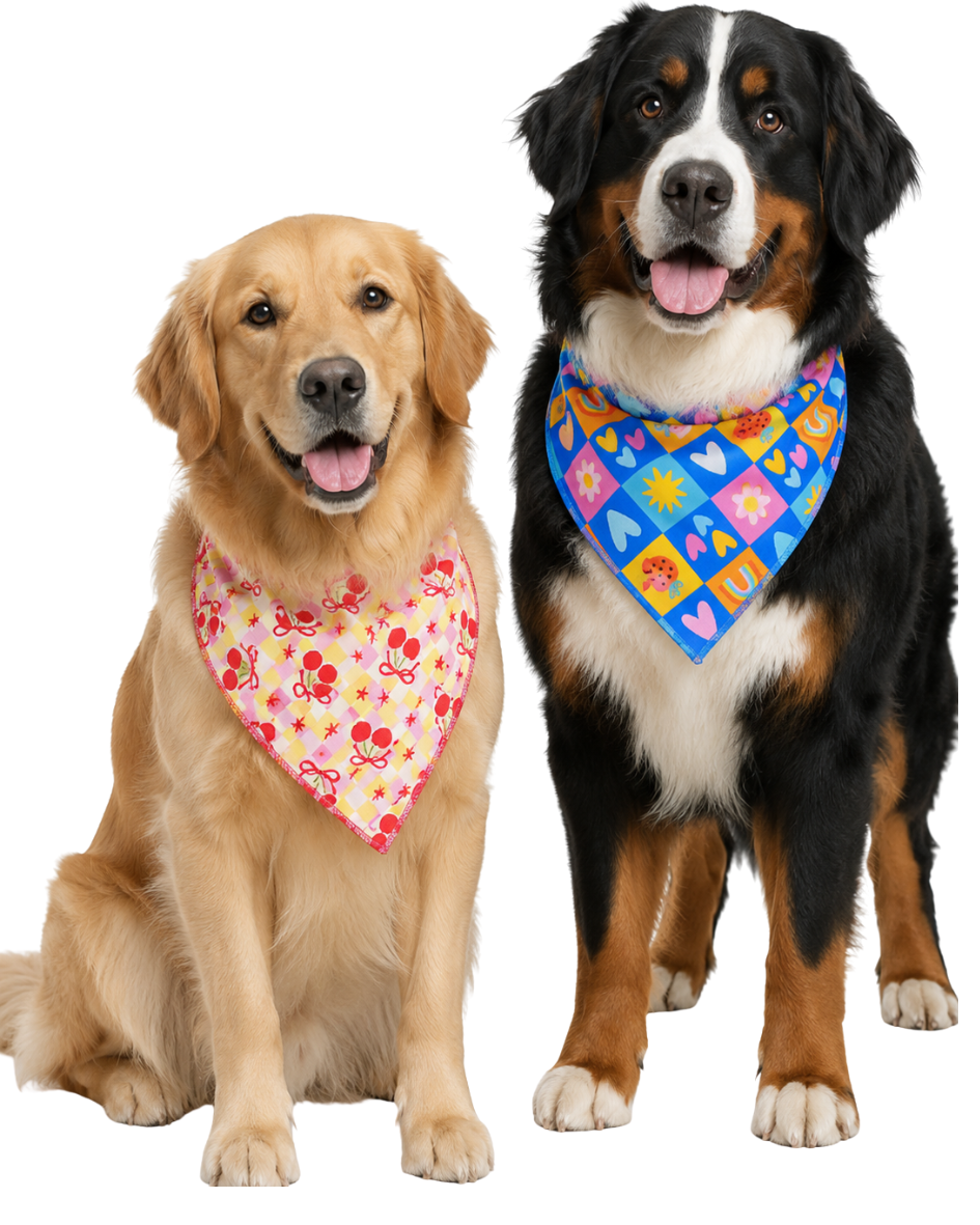B125 BANDANA FRUTINHAS - 10 UN - Imagem 4