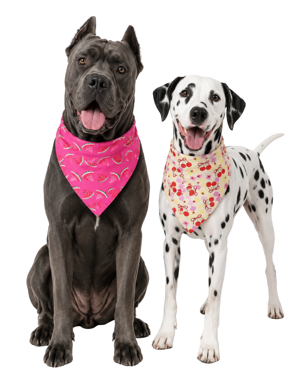 B125 BANDANA FRUTINHAS - 10 UN - Imagem 5