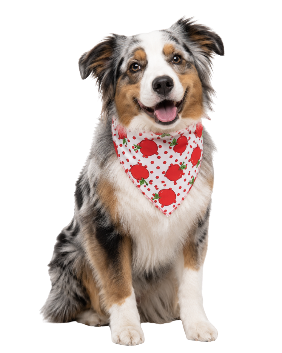 B125 BANDANA FRUTINHAS - 10 UN - Imagem 6