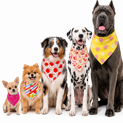 B125 BANDANA FRUTINHAS - 10 UN