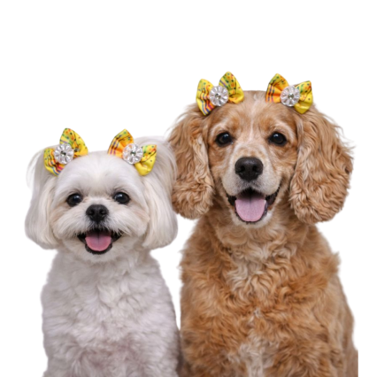 L11633 LAÇO FOLIA - 30 UN