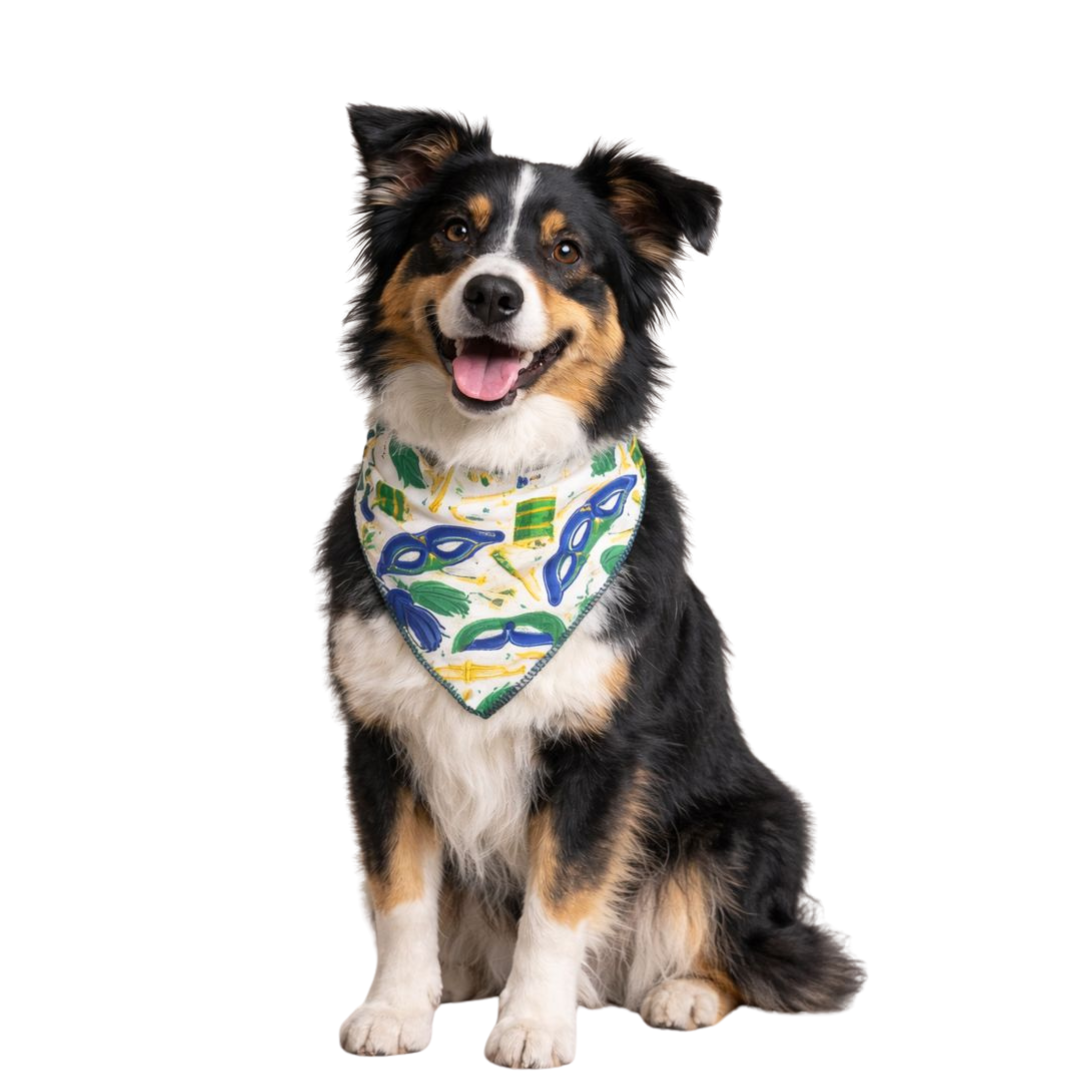 B701 BANDANA ESTAMPA CARNAVAL - 10 UN