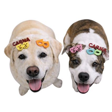 L7127 ADESIVO EM E.V.A CARNAVAL - 20 UN