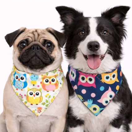 B132 BANDANA ESTAMPA CORUJA 'P' 'M' 'G' - 10 UN