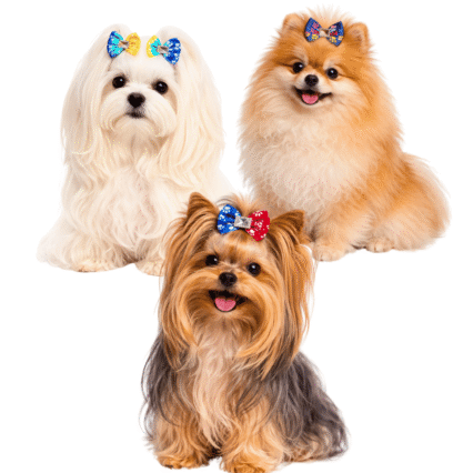 L10124 LAÇO ESTAMPA PATINHAS C/CRISTAL - 30 UN