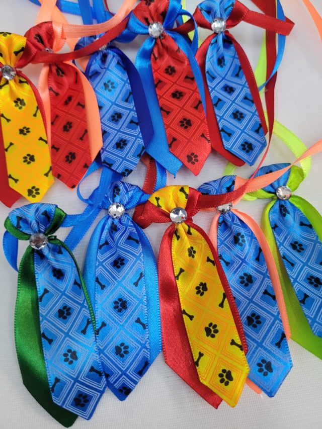 G21840 SOCIAL DUPLO PATA E OSSO 10CM - 25 UN