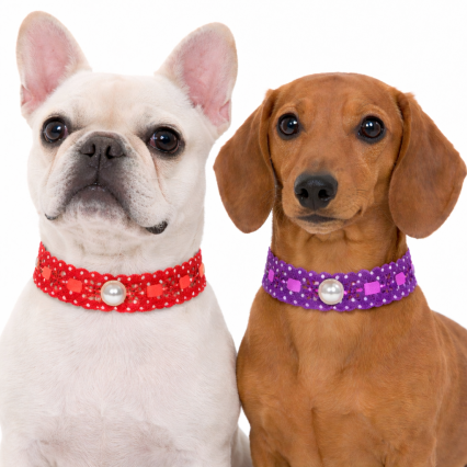 L17640 PASSA FITA POA C/PÉROLAS - 20 UN