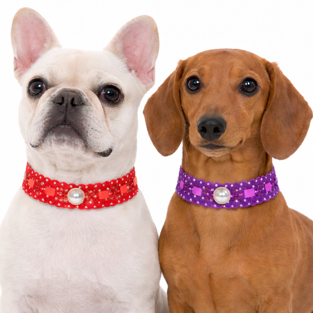 L17640 PASSA FITA POA C/PÉROLAS - 20 UN