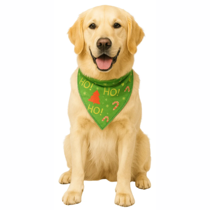 B505 BANDANA ESTAMPADA NATALINA - 10 UN