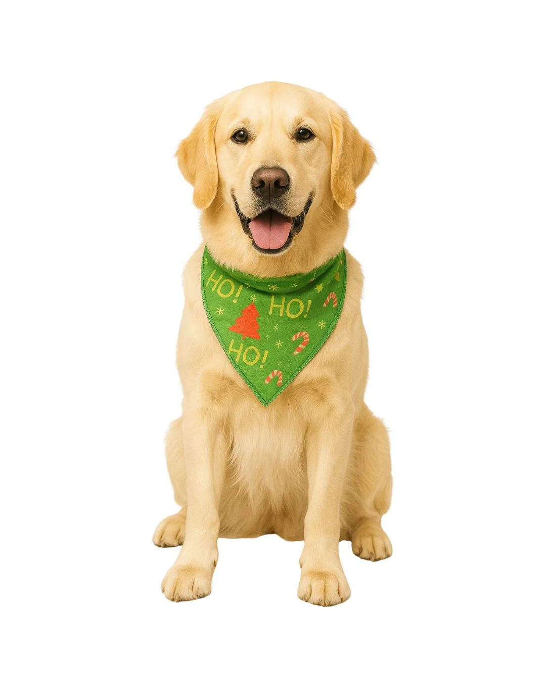 B505 BANDANA ESTAMPADA NATALINA - 10 UN