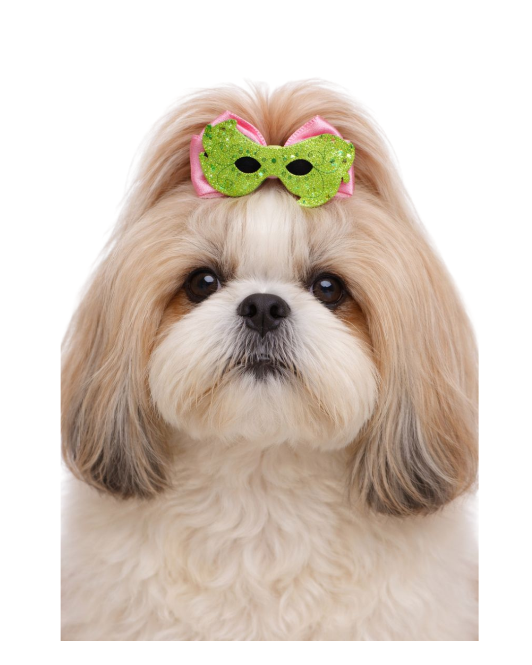 L7126 LAÇO C/MÁSCARA EM E.V.A - 20 UN