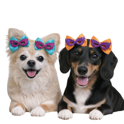 L7129 LAÇO C/ENFEITE MASCARA EM E.V.A - 30 UN