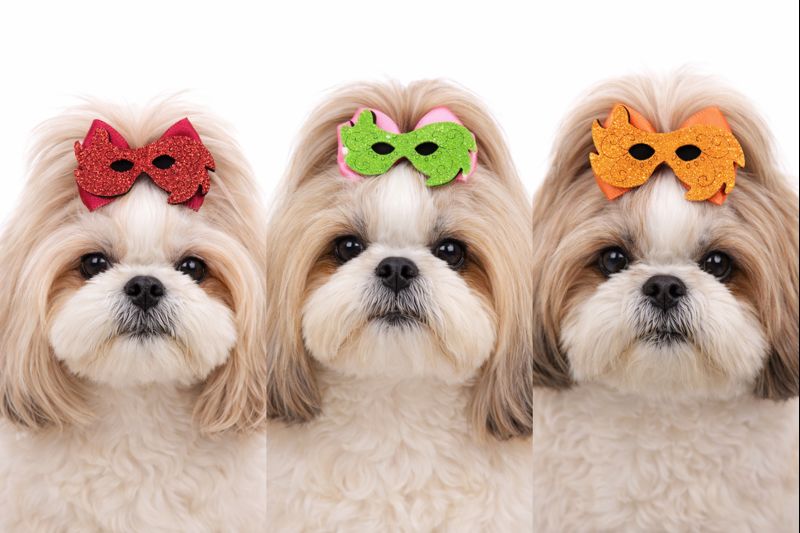 L7126 LAÇO C/MÁSCARA EM E.V.A - 20 UN - Imagem 3