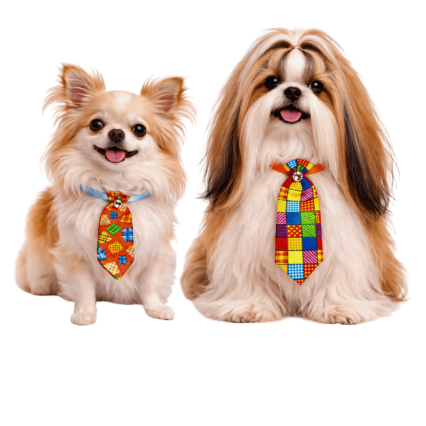 G31020 SOCIAL '12CM' ESTAMPA JUNINA - 25 UN