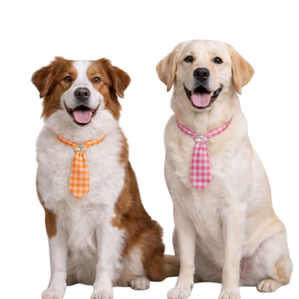 G21052 SOCIAL XADREZ NEON - 25 UN