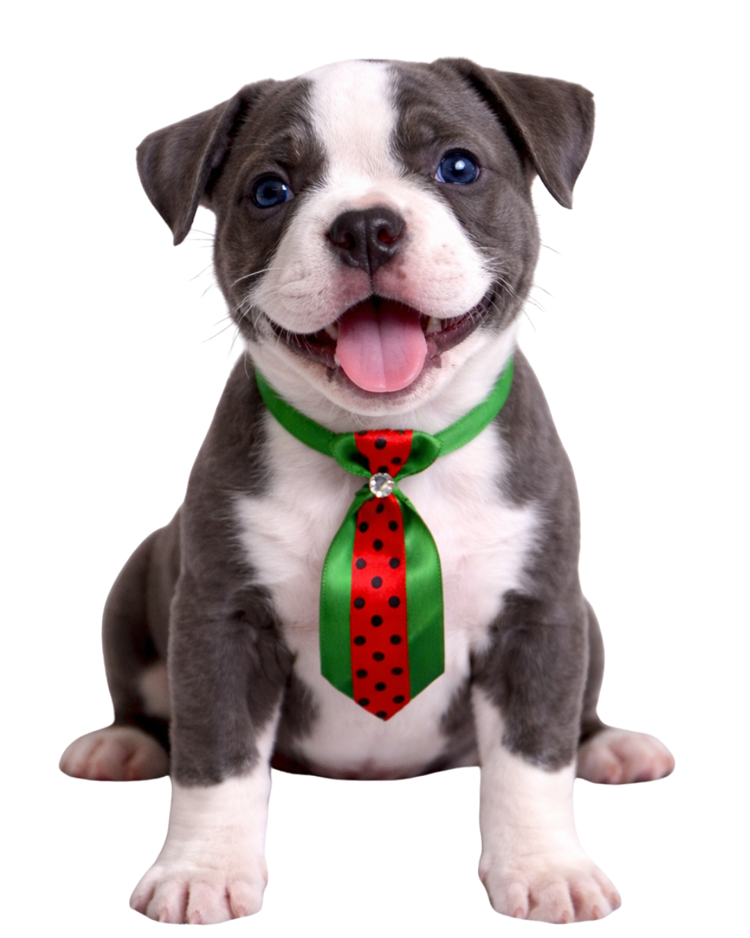 G2171 SOCIAL DUPLA POA - 25 UN