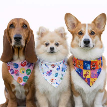 B139 BANDANA ESTAMPA DIVERTIDAMENTE - 10 UN