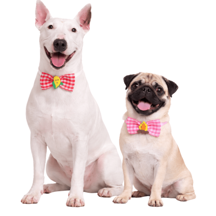 L321 BORBOLETA XADREZ C/ENFEITE JUNINO - 20 UN