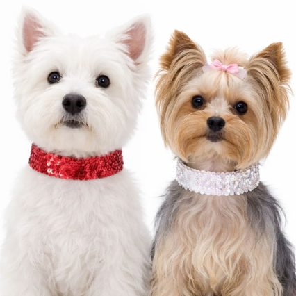 L0951 COLAR LANTEJOULA - 10 UN