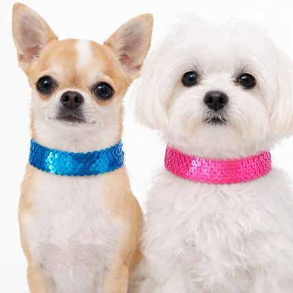 L0951 COLAR LANTEJOULA COLORIDO - 10 UN