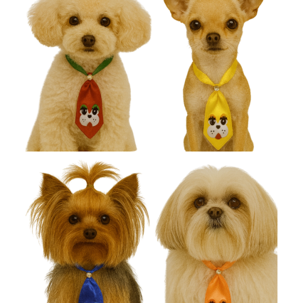 G206 GRAVATA SOCIAL '11CM' C/CARINHA - 25 UN