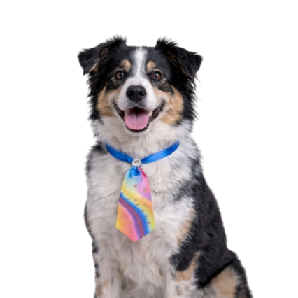 G21891 SOCIAL DUPLA COLOR - 25 UN