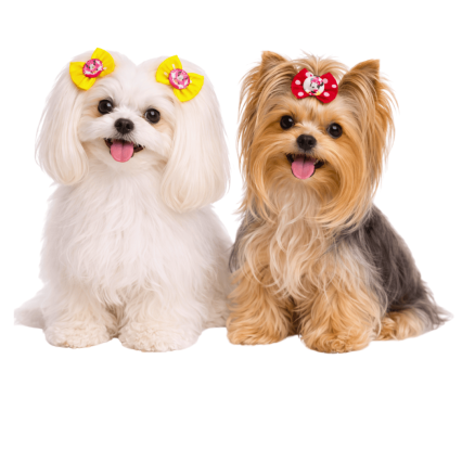 L11672 LAÇO GORG POA C/MINNIE - 30 UN