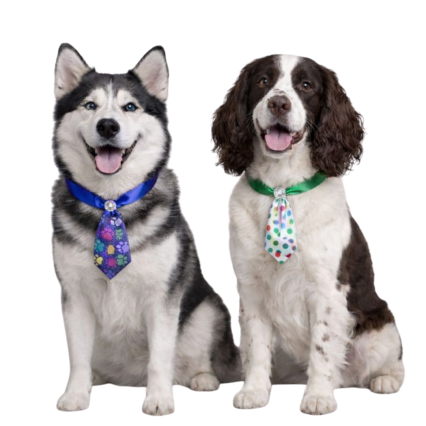 G21091 SOCIAL ESTAMPAS DIVERSAS - 11CM - 25 UN