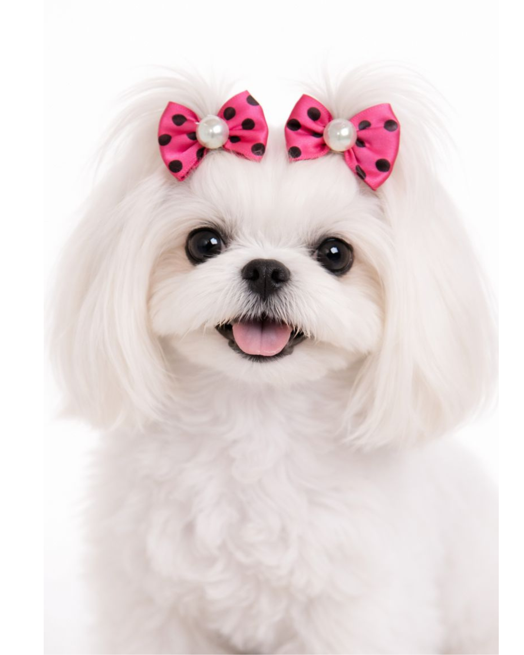 L101073 LAÇO POA C/PÉROLA - 30 UN