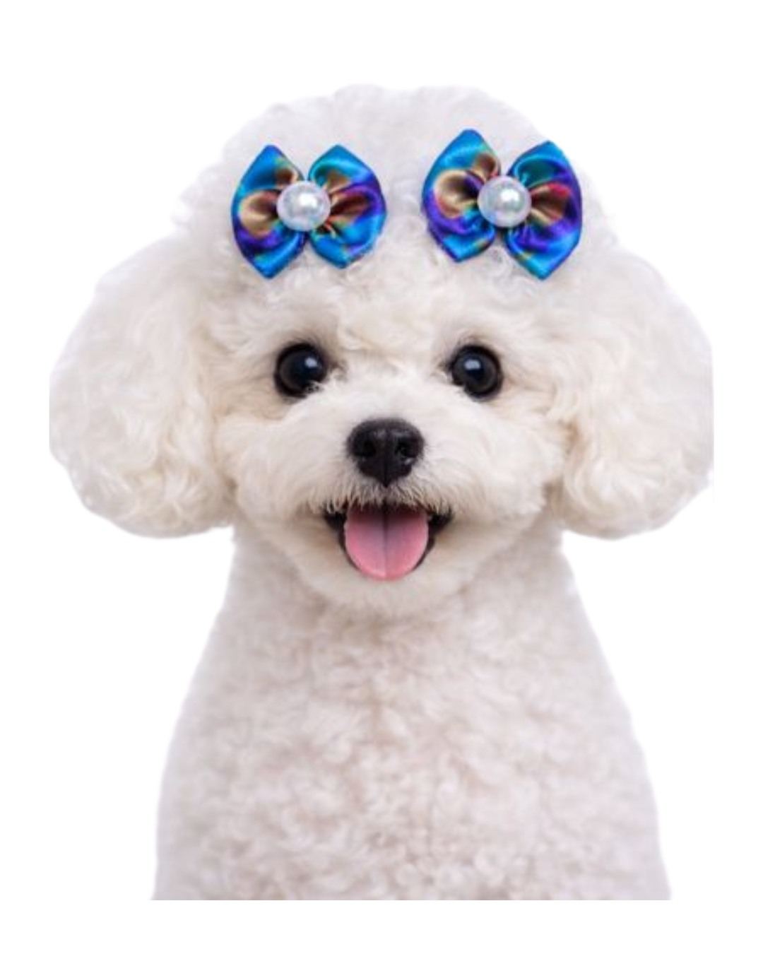 L10271 LAÇO ESTAMPADO - 30 UN