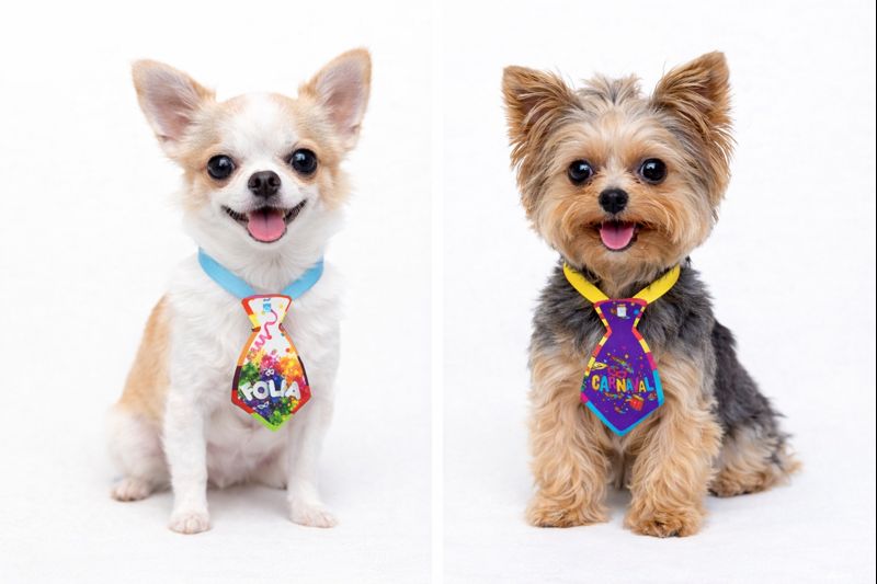 G739 GRAVATA CARNAVAL - Imagem 2