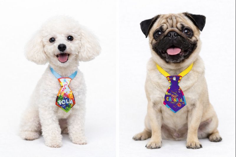 G739 GRAVATA CARNAVAL - Imagem 3