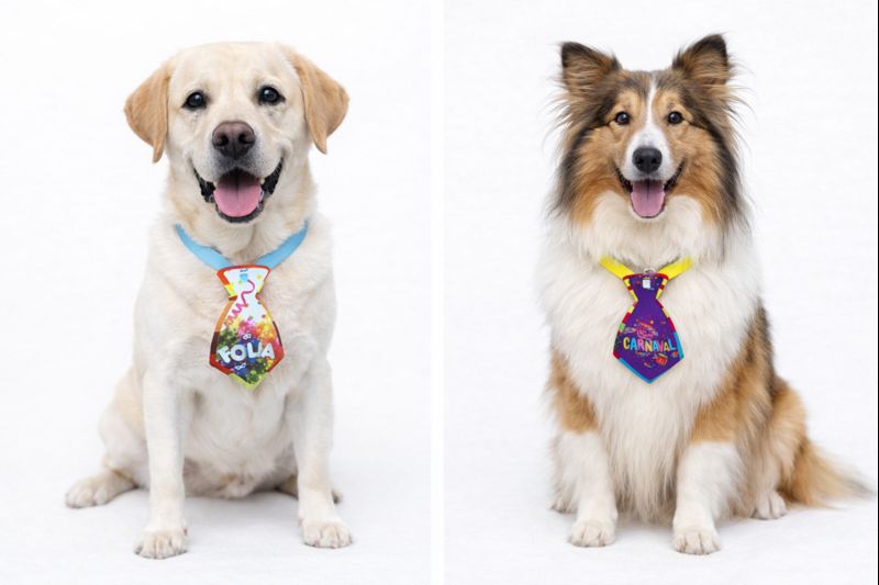 G739 GRAVATA CARNAVAL - Imagem 5