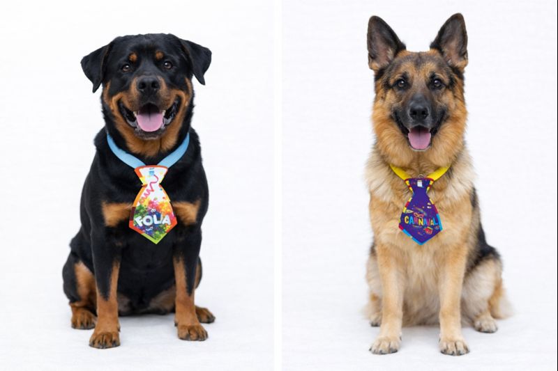 G739 GRAVATA CARNAVAL - Imagem 4