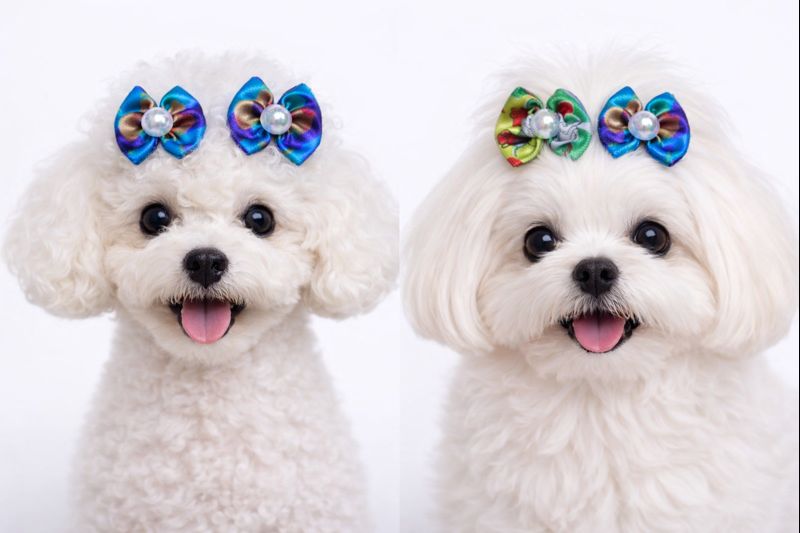 L10271 LAÇO ESTAMPADO - 30 UN - Imagem 5