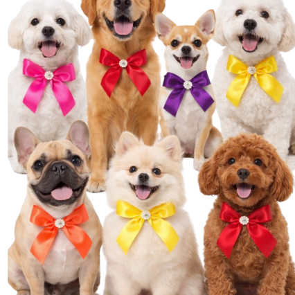 L11124 LAÇAROTE CETIM - 20 UN