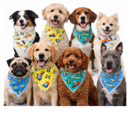 B115 BANDANAS ESTAMPADAS - 10 UN