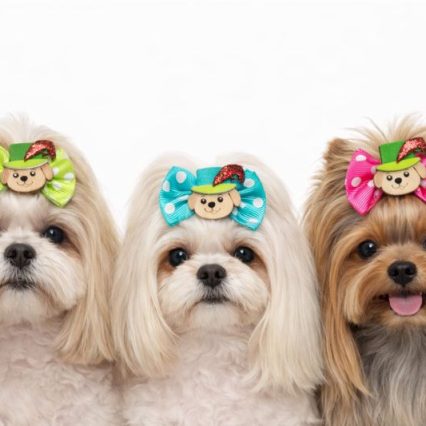 L71281 LAÇO C/ENFEITES DE CARNAVAL EM E.V.A -30 UN