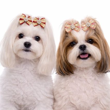 L10521 FLASH DUPLO ELEGANTE - 30 UNID