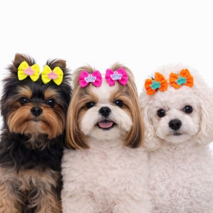 L11677 LAÇO GORGURÃO NEON C/COROA - 30 UN