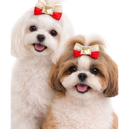 L10192 LAÇO C/2 FITAs - 30 UNID